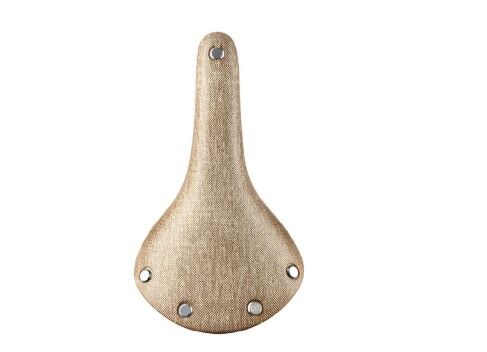 Brooks Cambium C17